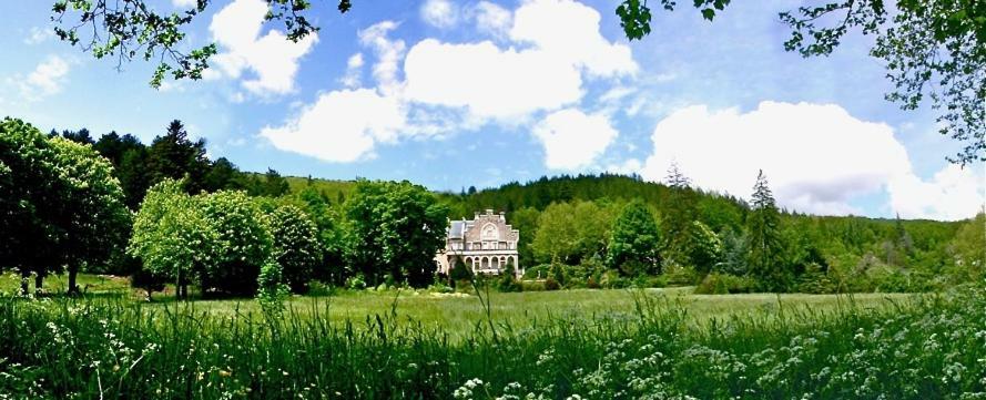 Chateau Du Mazel Bed and Breakfast Alzon Exterior foto